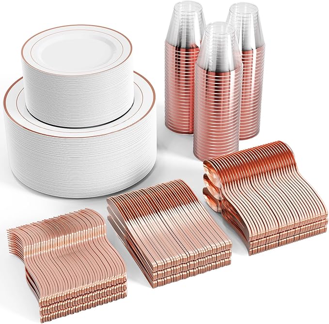 High Quality Disposable Dishware (100 Guest)